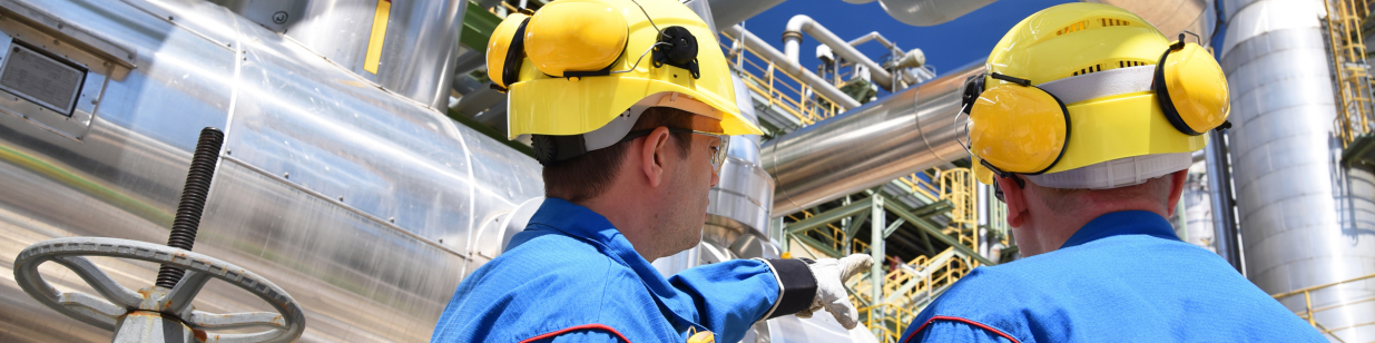 Expert Accountants for F Gas Auditing
