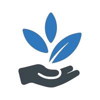 accounting services for startups